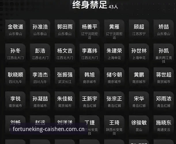 财神到中文版必备 中国足协第三批禁足名单公布,哪些足球从业者被终身禁足?